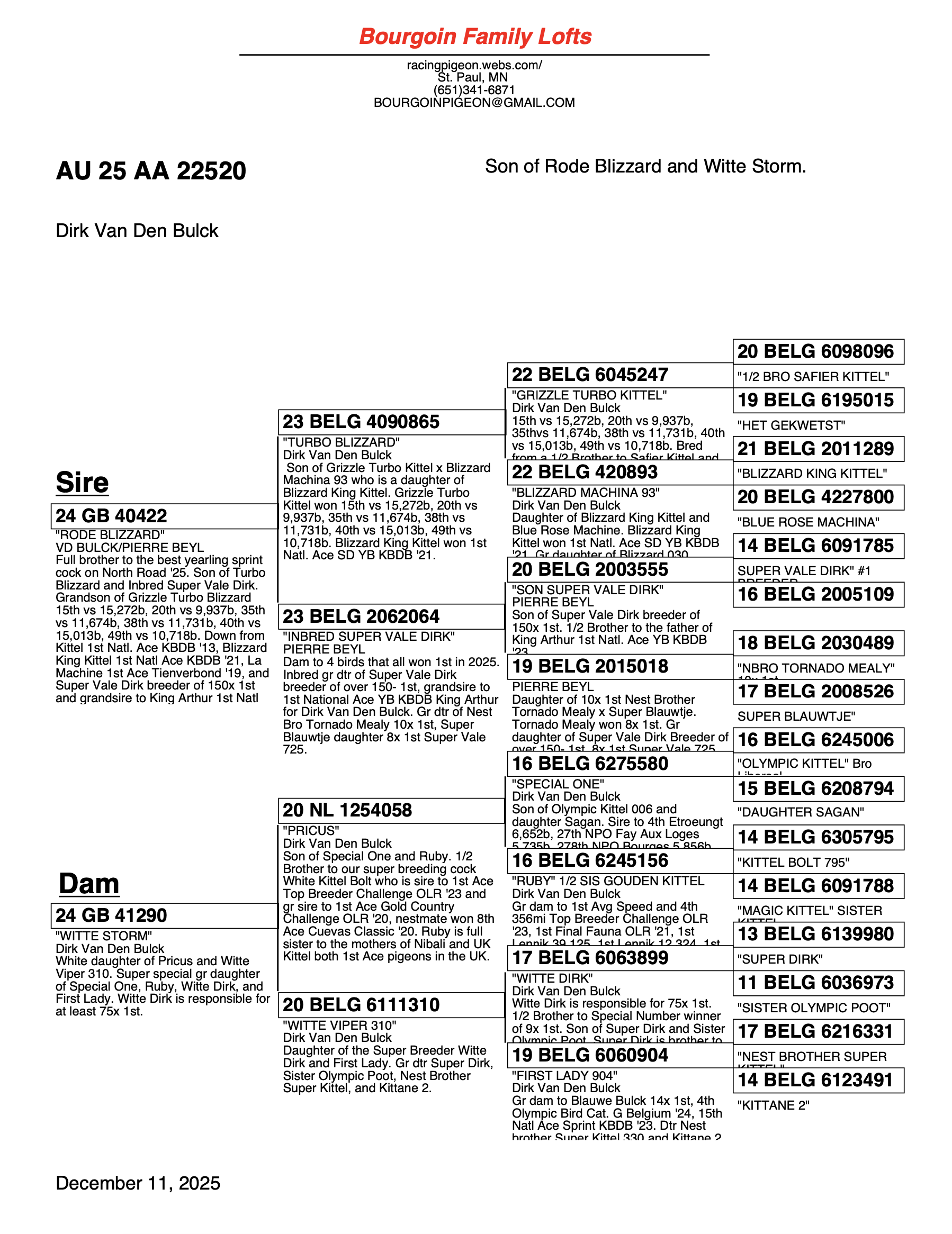 RODE BLIZZARD X WITTE STORM