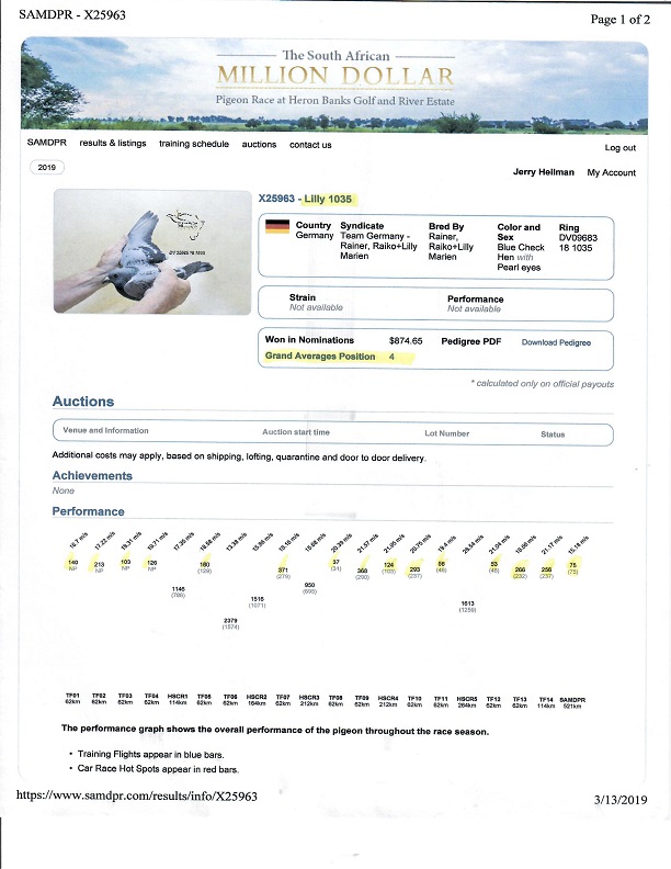 Preview Image 2