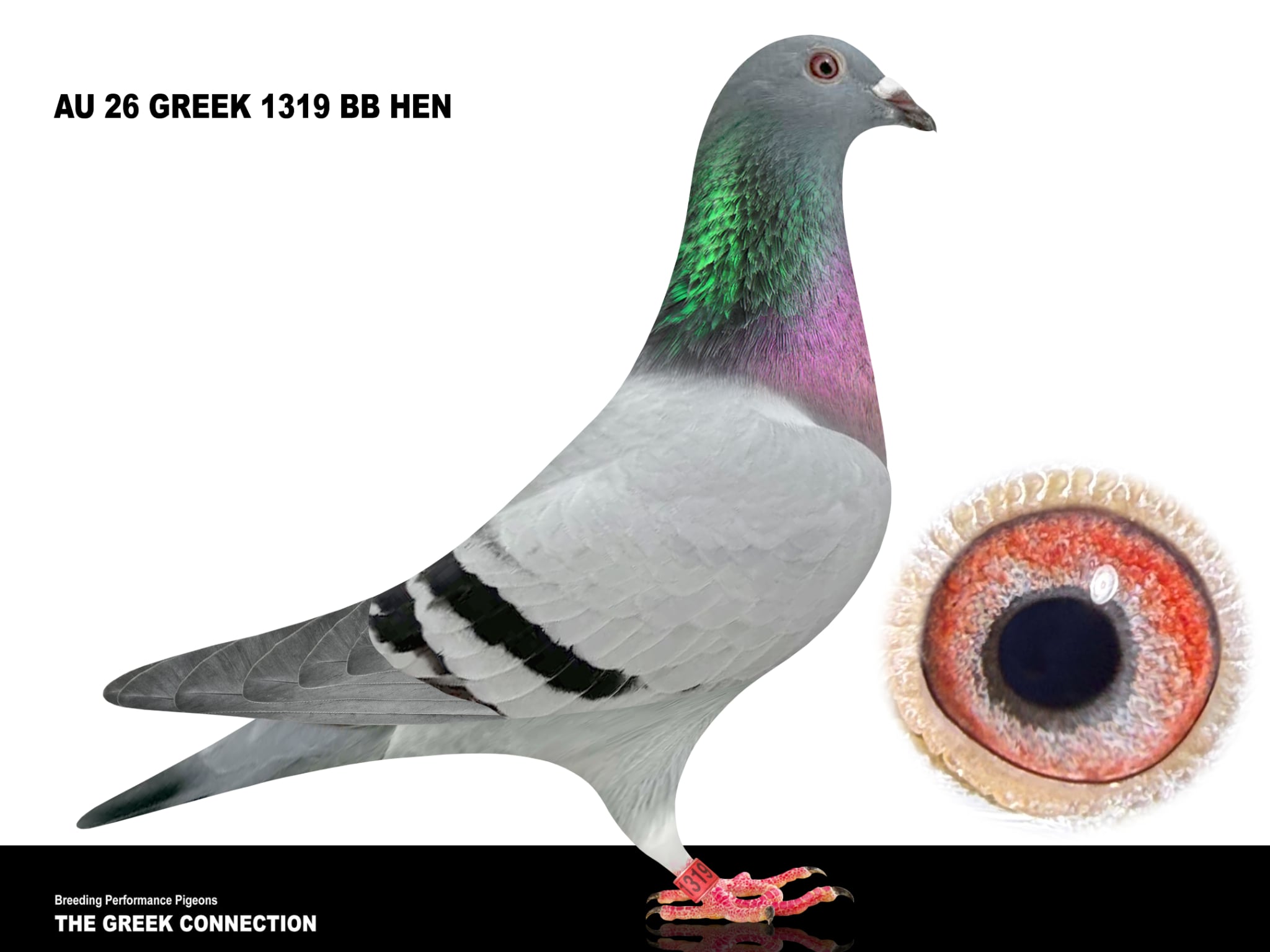 AU 26 Greek 1319 Hen