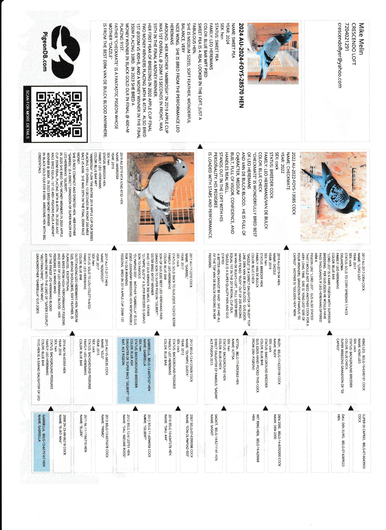 Preview Image 5