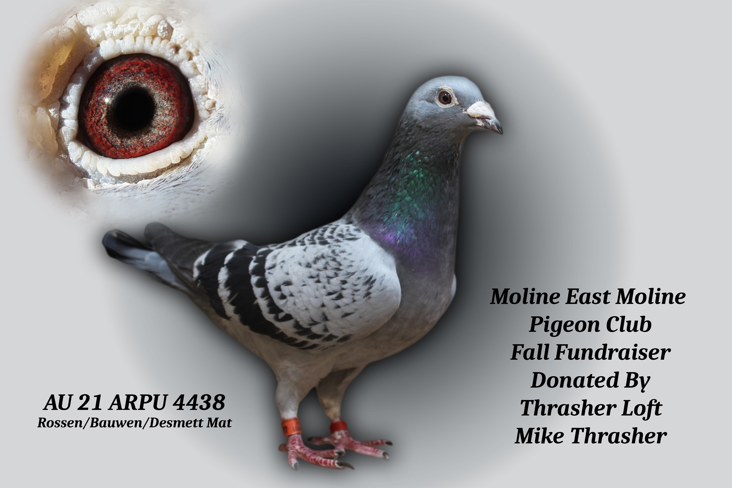 AU 21 ARPU 4438 Hen