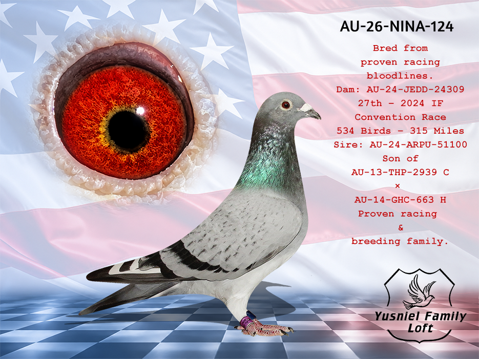 AU-26-NINA-124 – Direct Offspring of 27th Place 2024 IF Convention