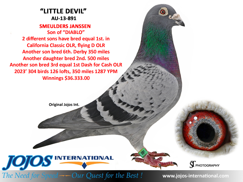LOT # 54 LITTLE DEVIL