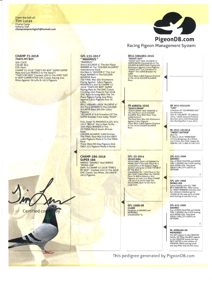 Preview Image 4