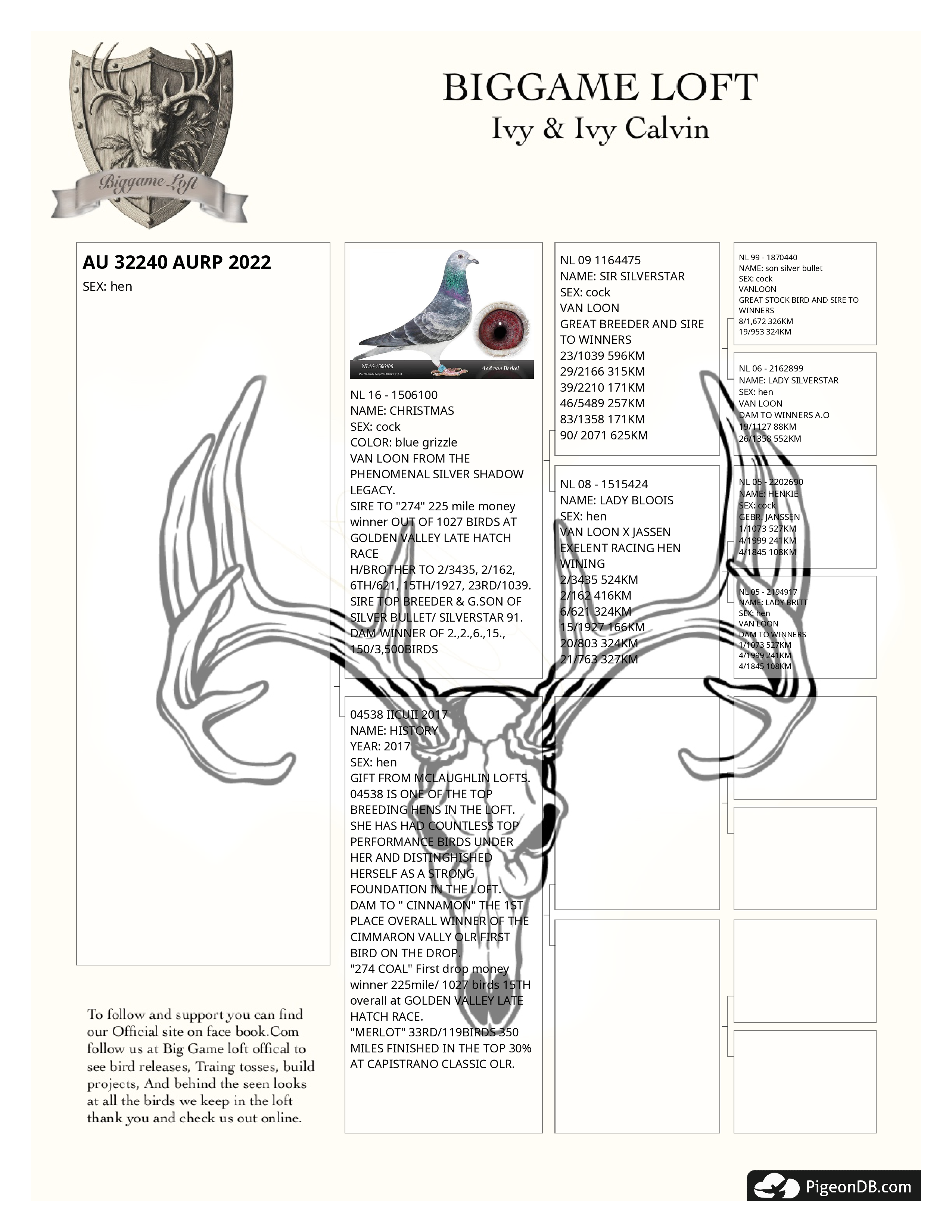 Preview Image 2