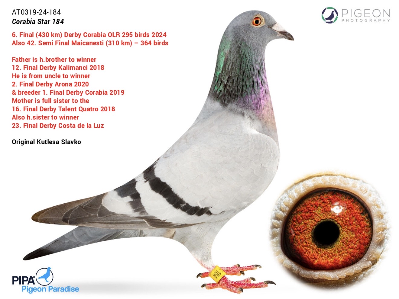 6. Final Derby Corabia 