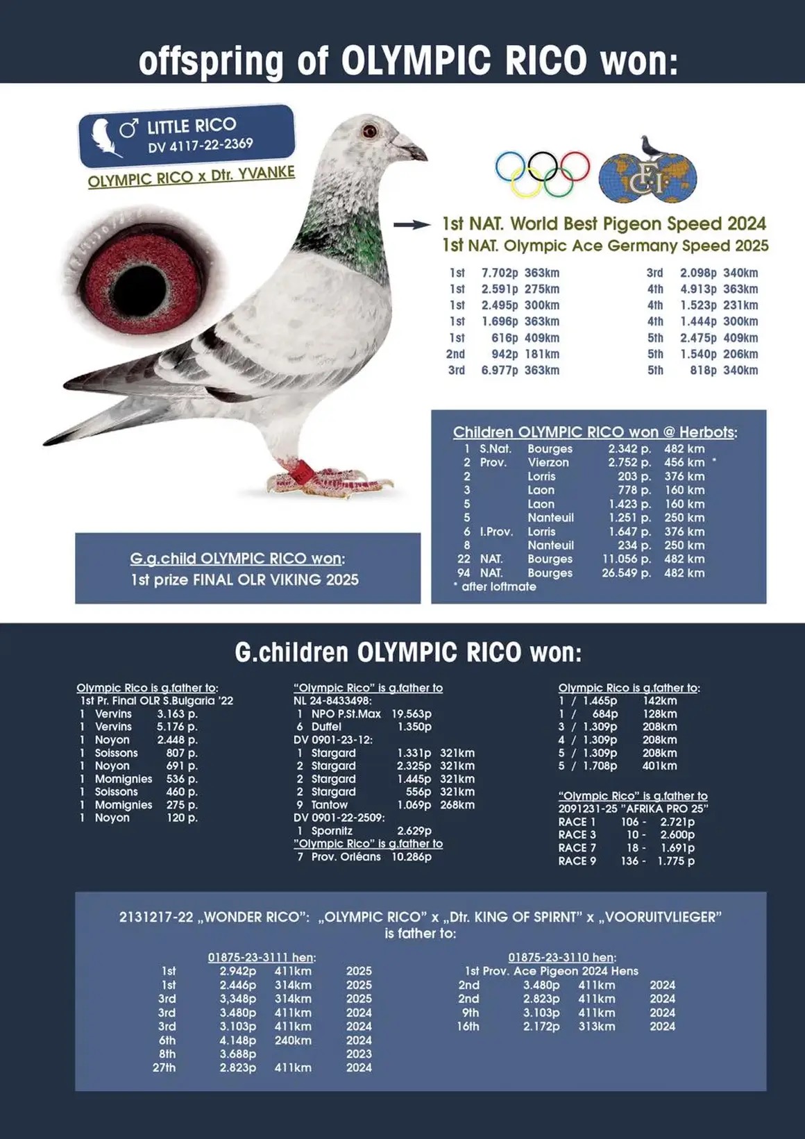 iPigeon.com - Racing Pigeon Auction