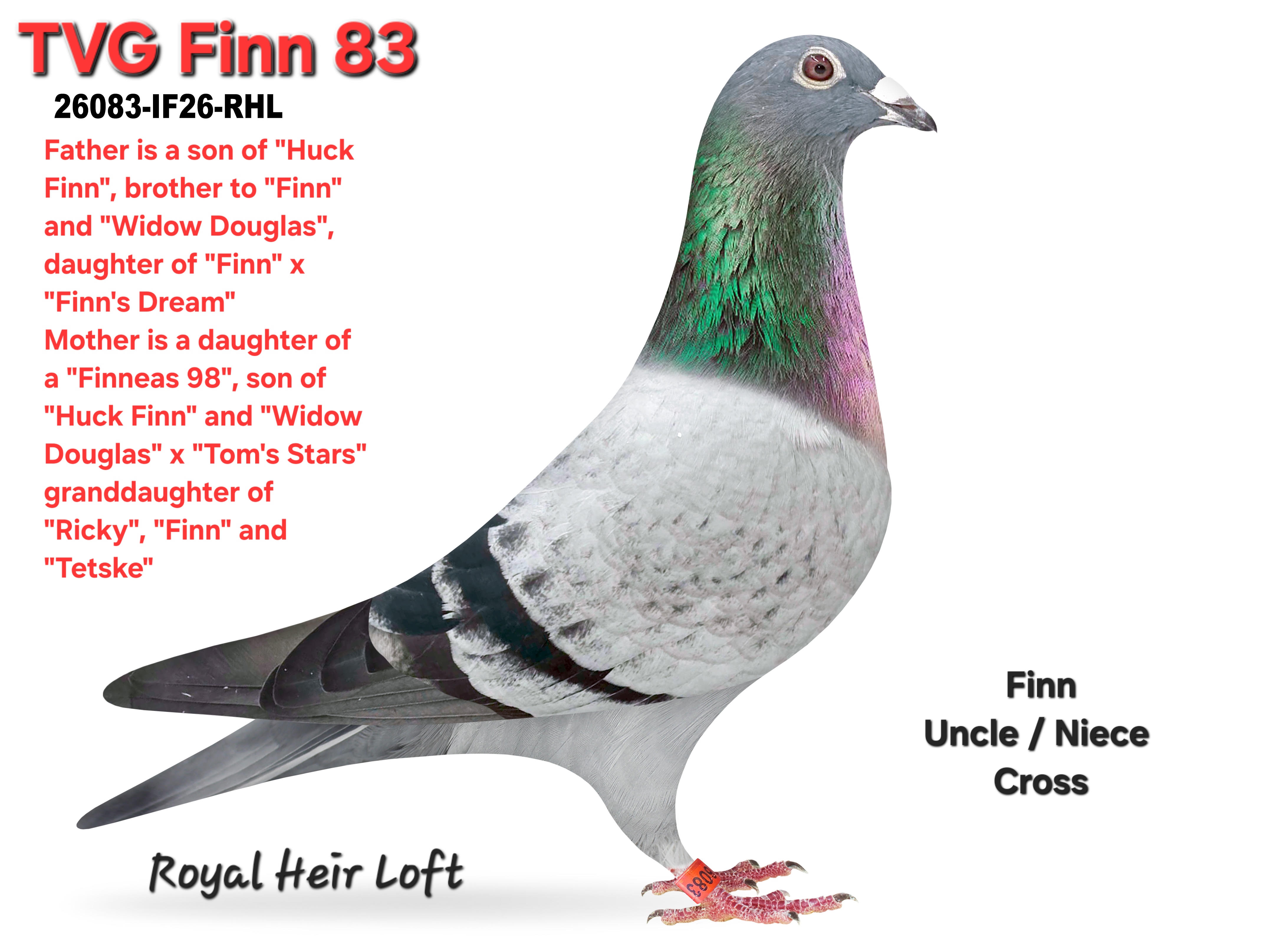 26083-IF26-RHL Blue Pencil Male
