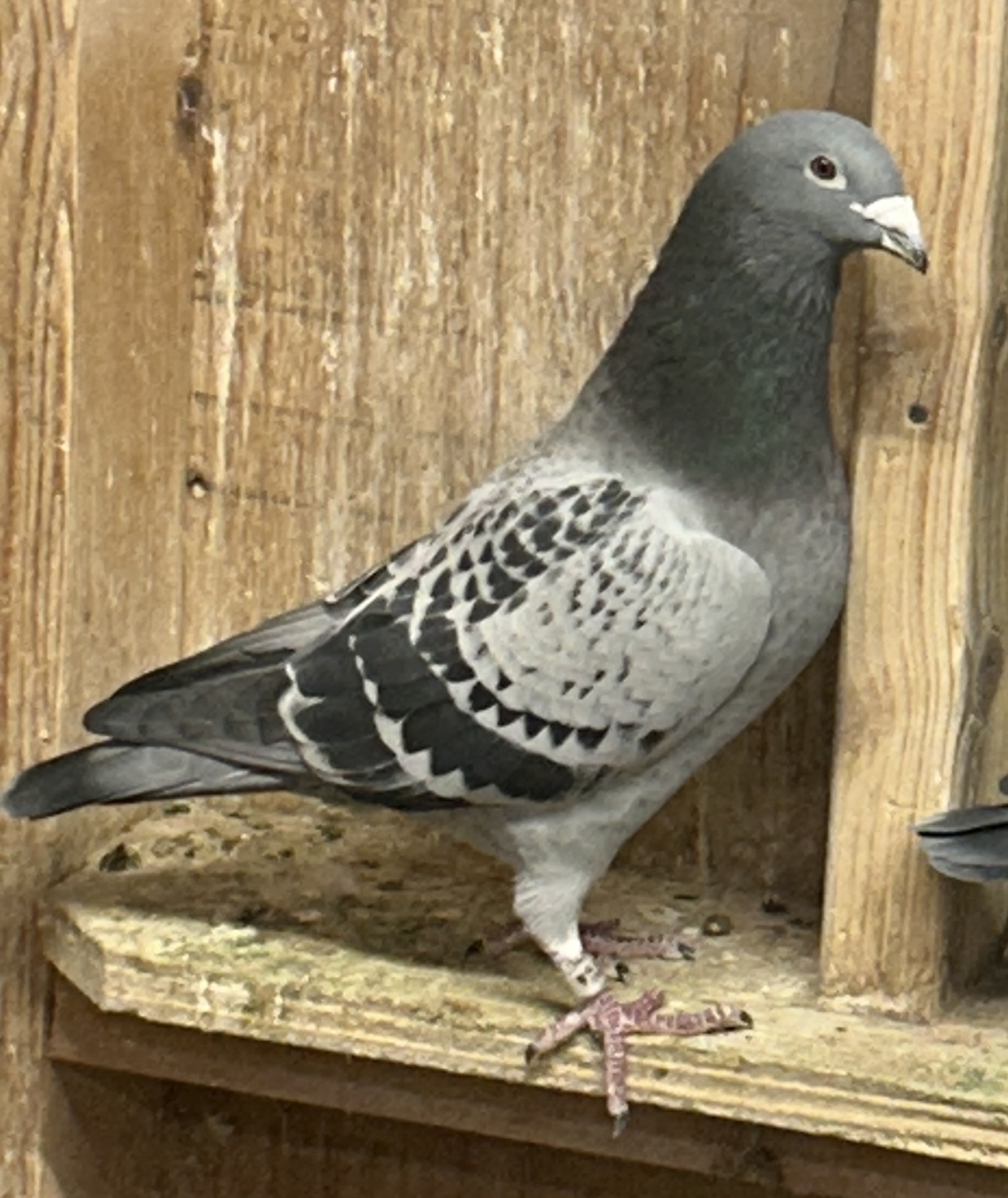 Donation Vinyard Hills Loft