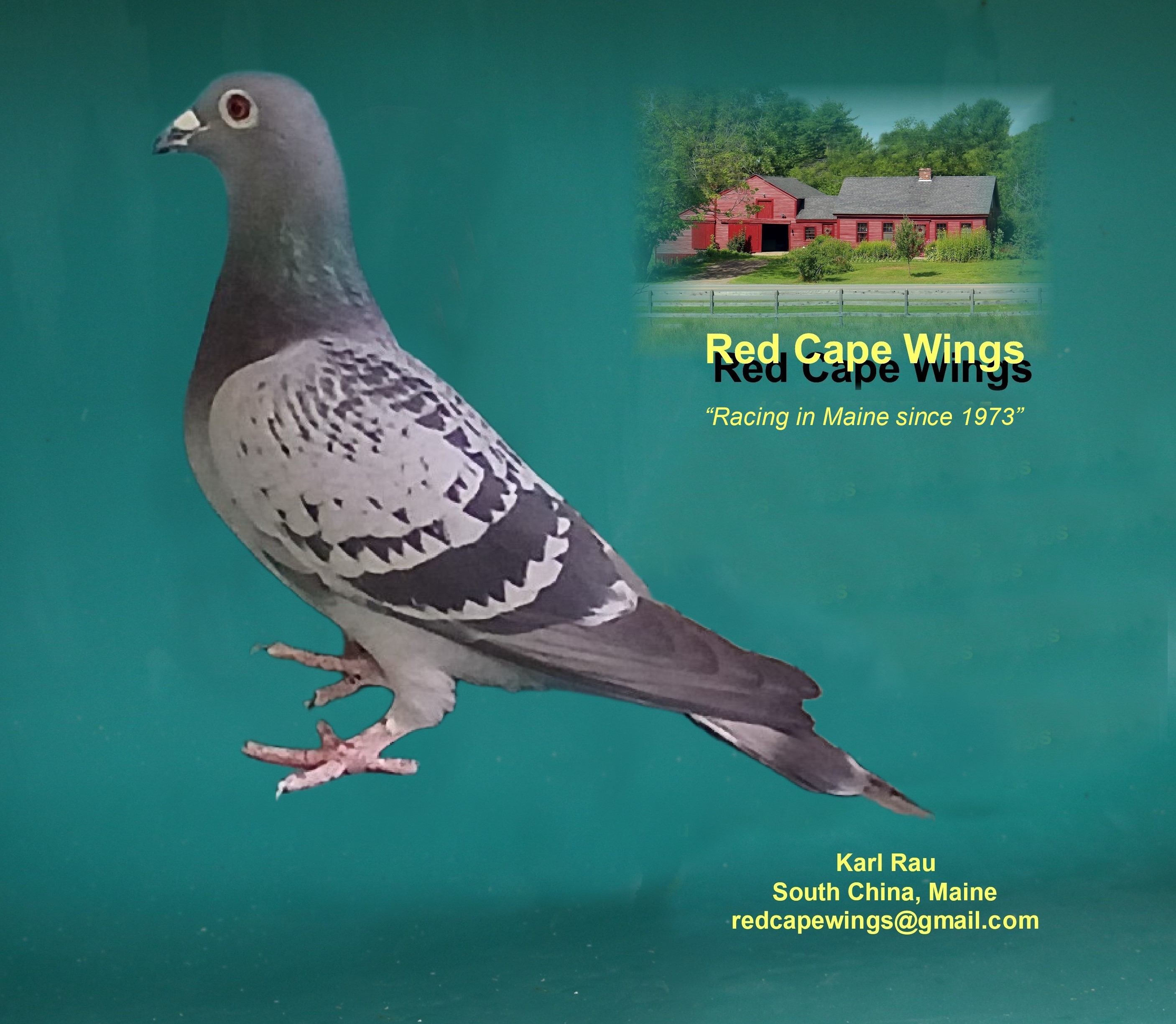 23 VDB 516 "Floriana" Foundation Hen Nemekla / Cleirbaut 