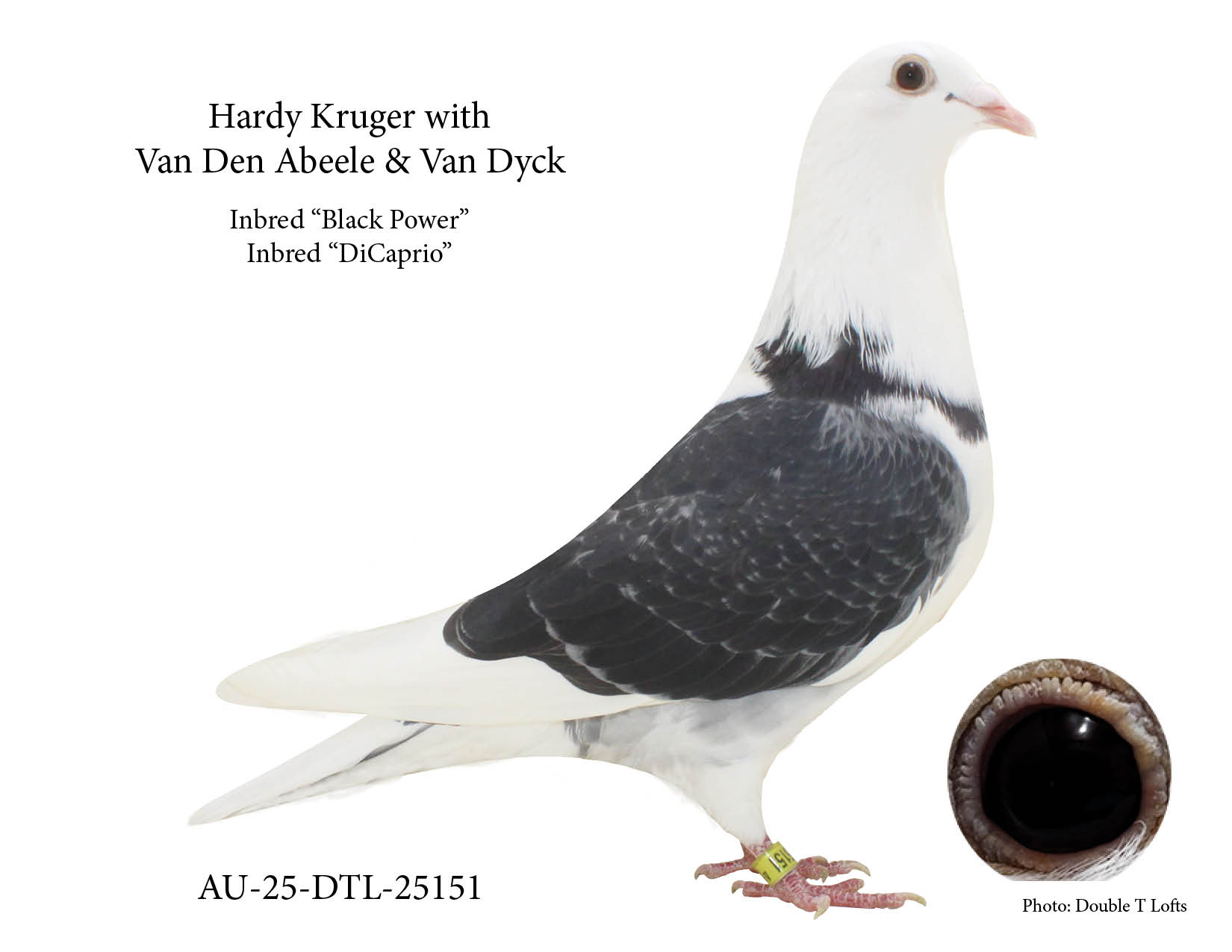 Hardy Kruger...1/2-Brother X 1/2 Sister