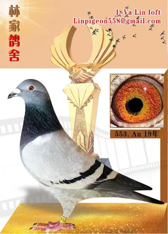 Preview Image 6