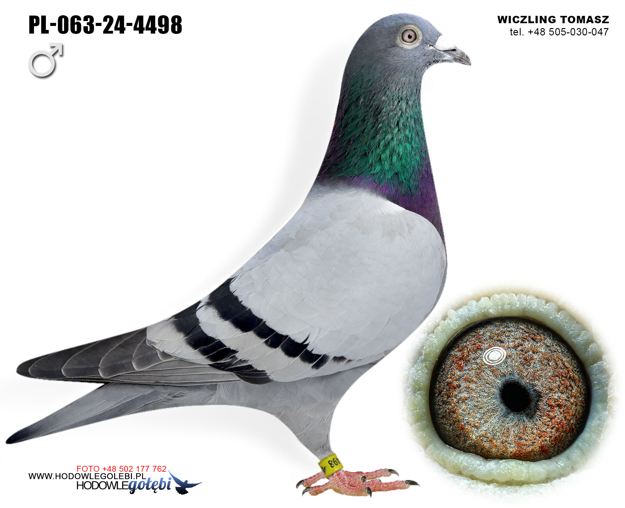 PL-063-24-4498 C