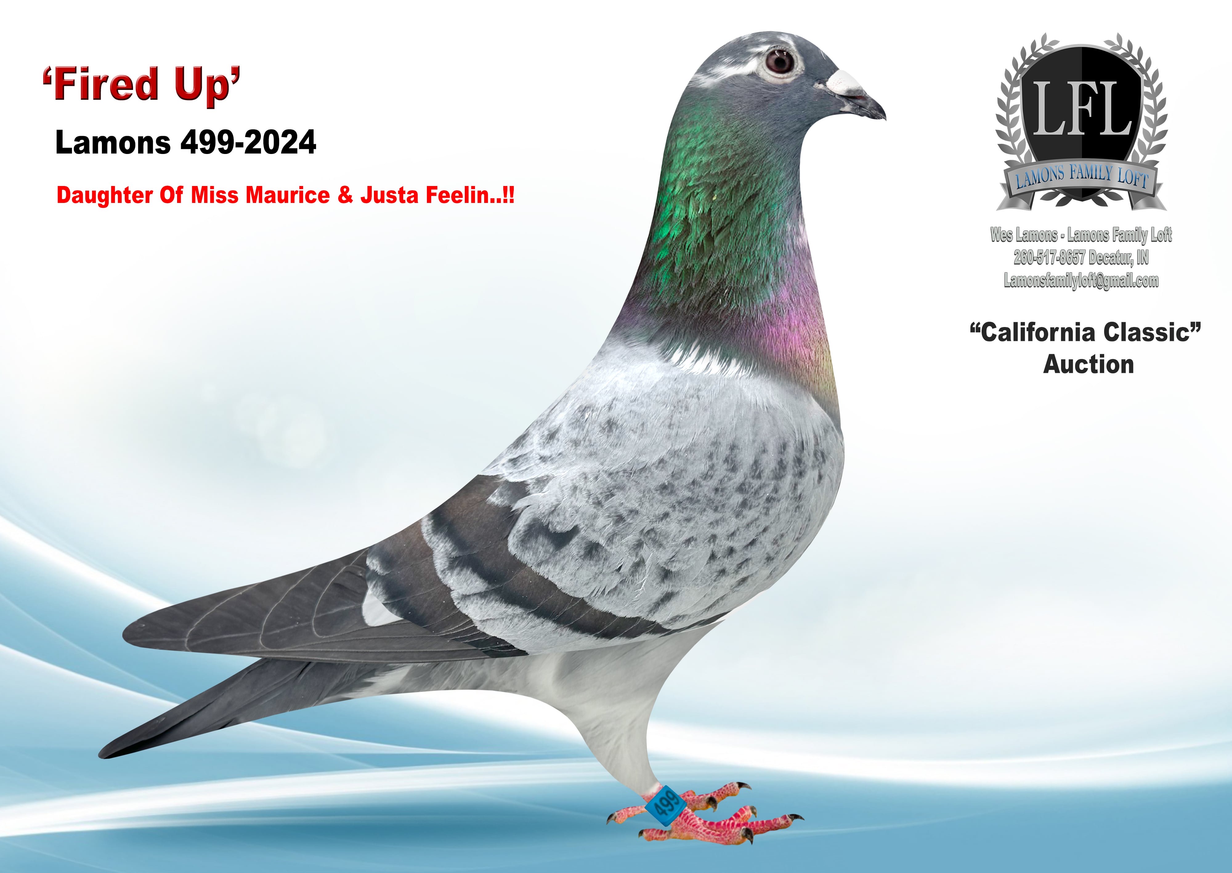 Lot 46. 2024 Lamons 499 Hen