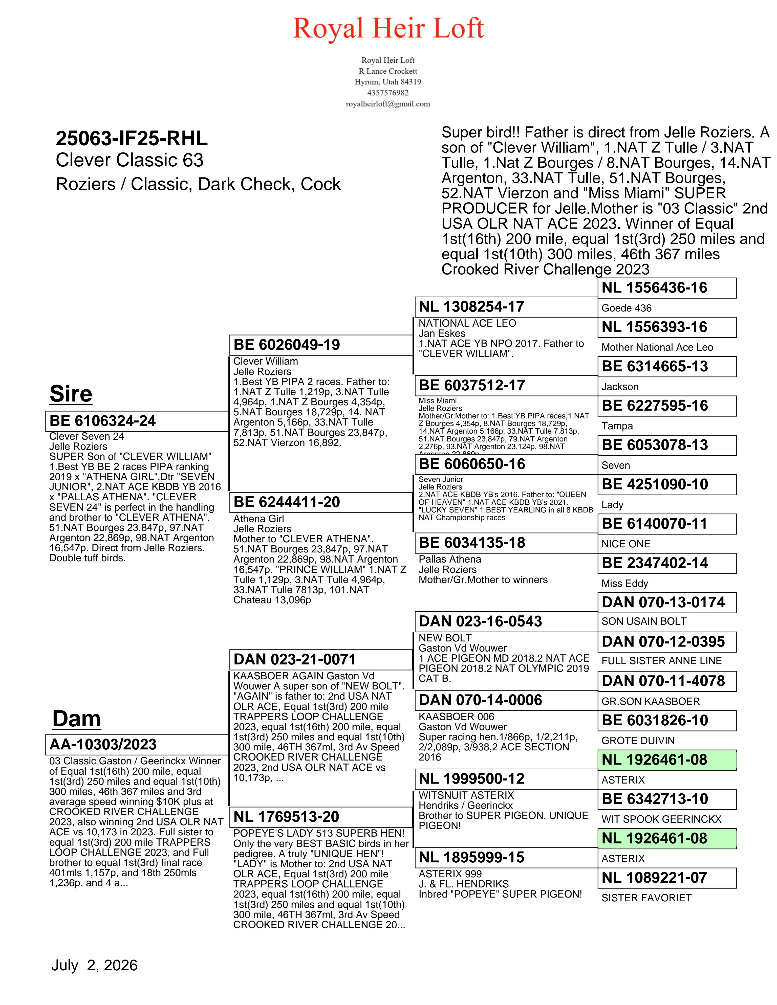 25063-IF25-RHL Dark Check Male