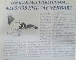 22-SCHOLAR-438 Red Check Cock.