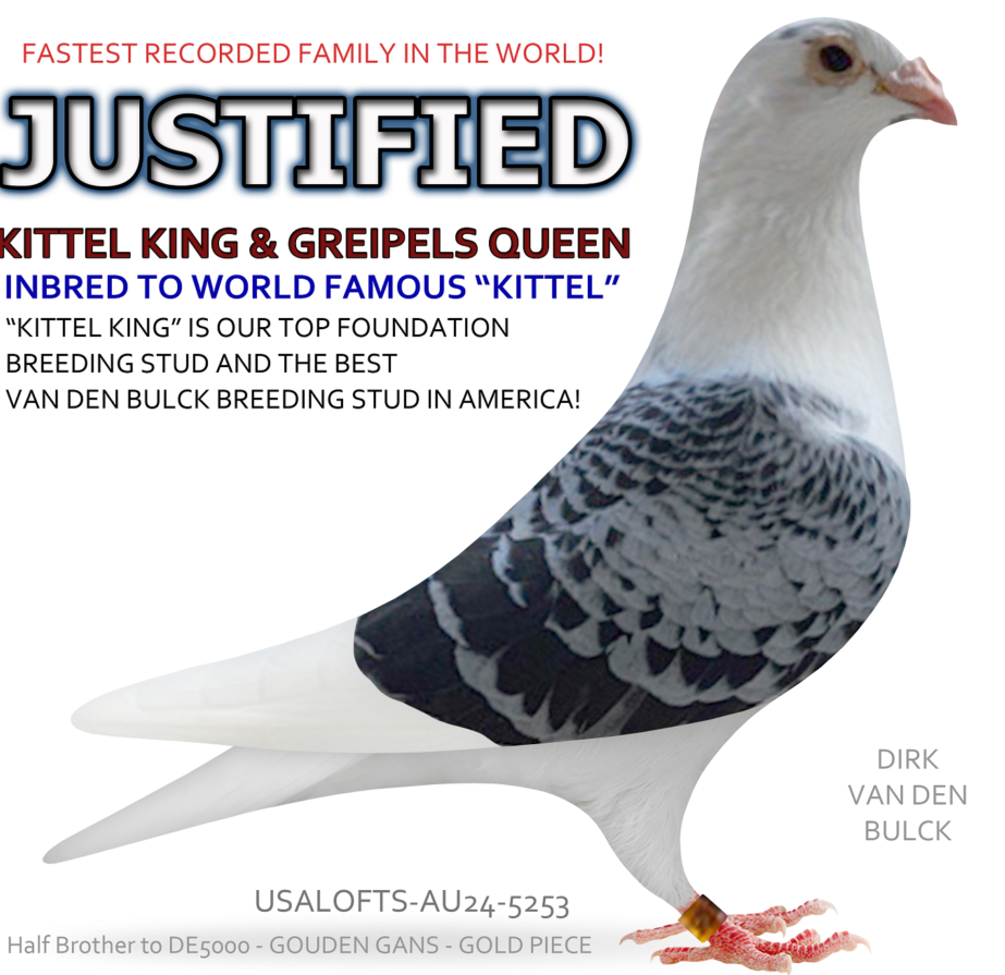 AU-2026-USALOFTS-317-BB-HEN