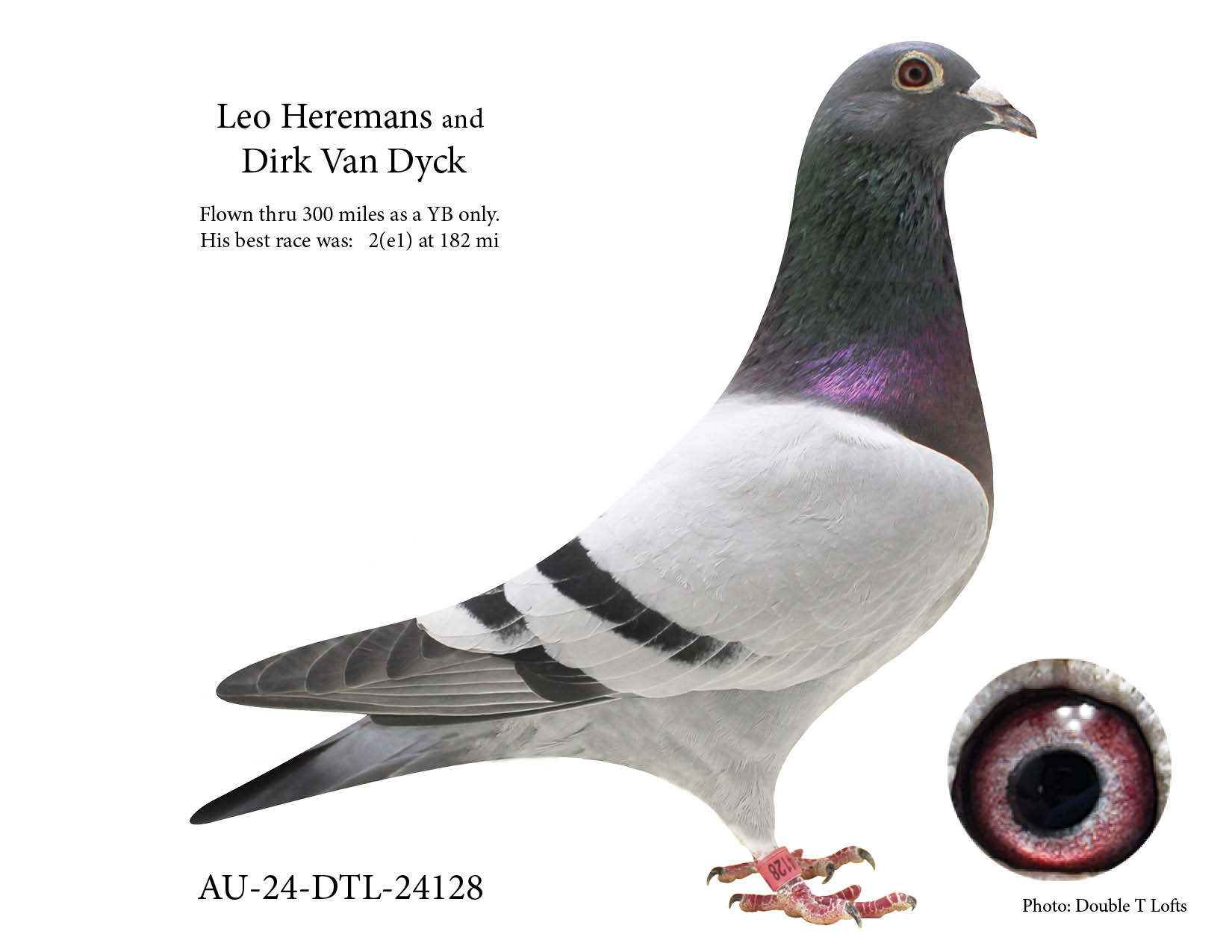 Leo Heremans/Dirk VanDyck -- "Jackpot" & "Dicaprio"