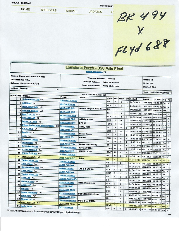 Preview Image 10