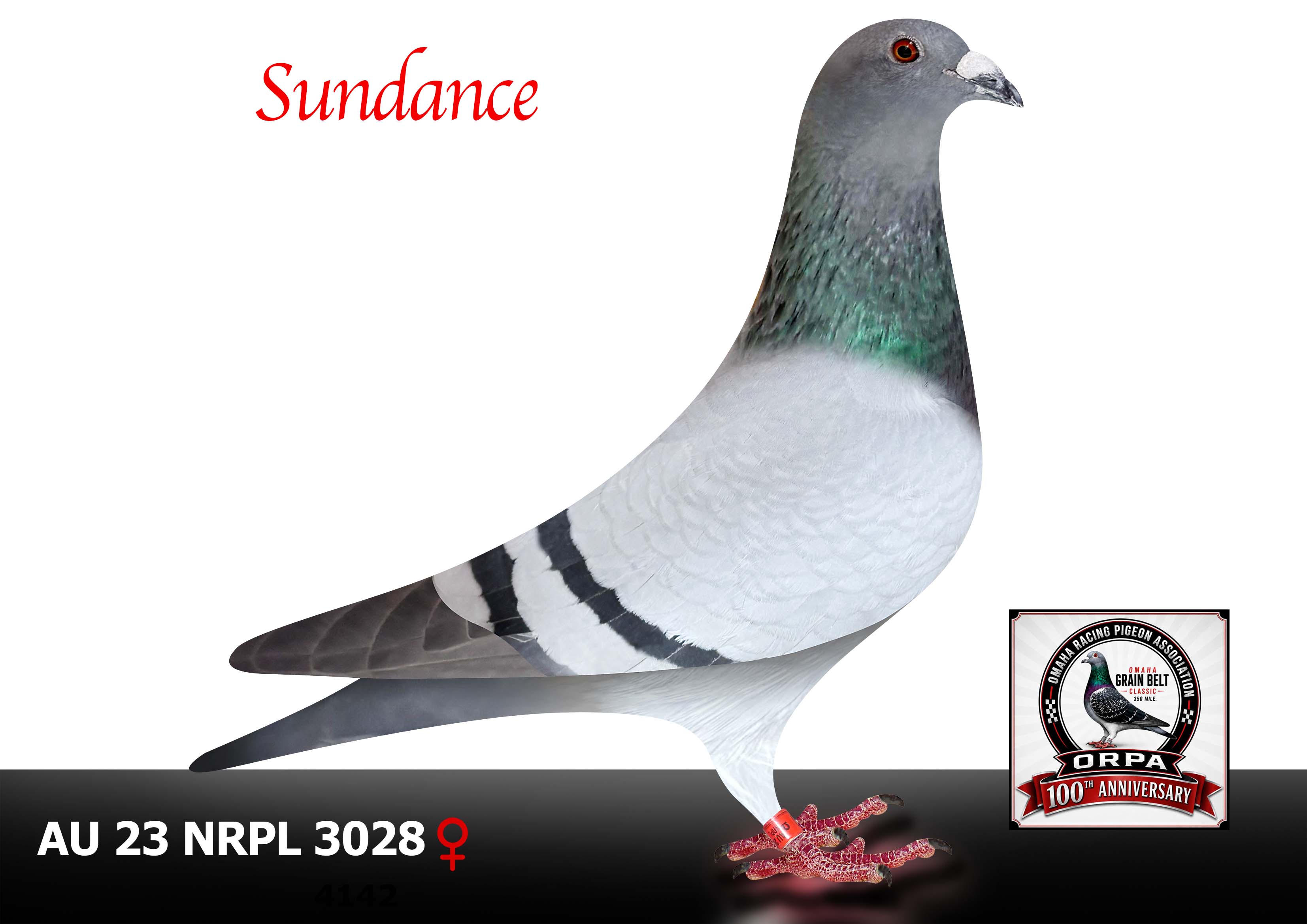 AU 23 NRPL 3028 Hen