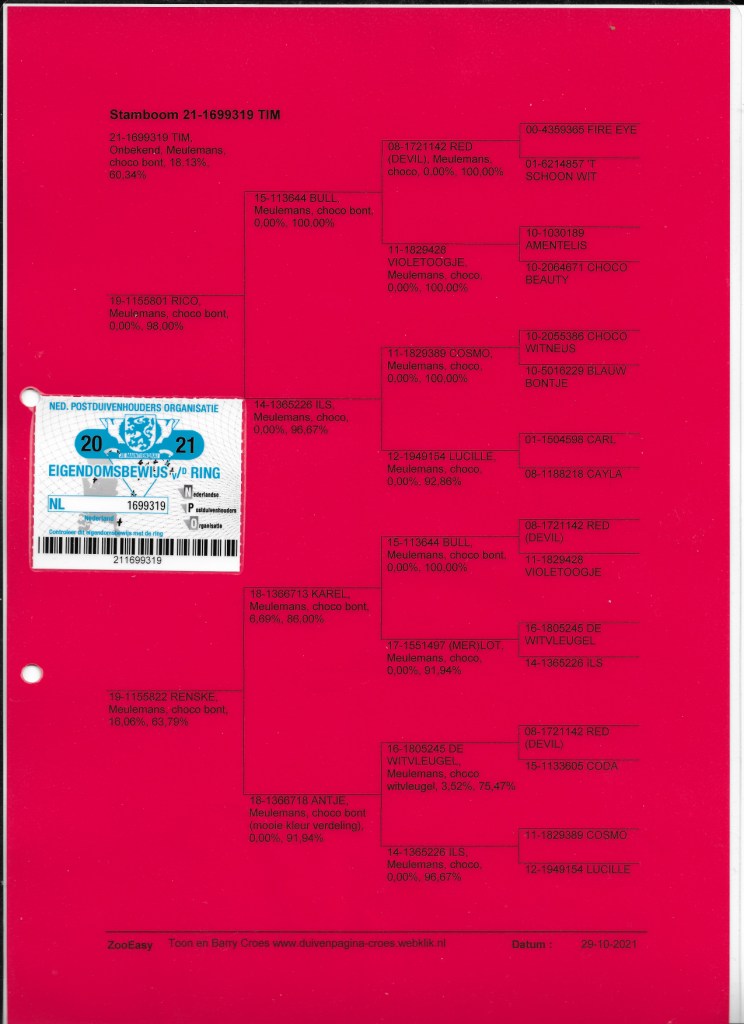 ipigeon-racing-pigeon-auction