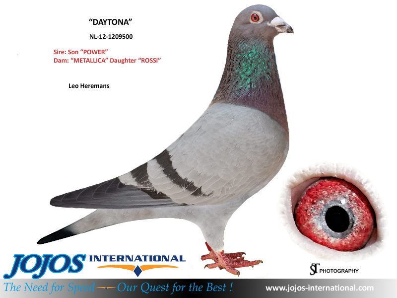 LOT # 49 SSL-21-2103