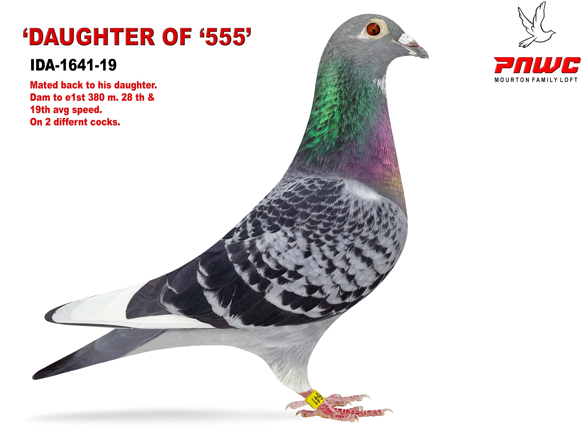 IDA-1641-19 BC WF HEN