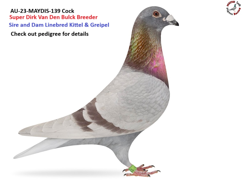 Kittel, Greipel, New Kittel, Olympic Kittel are all here !!