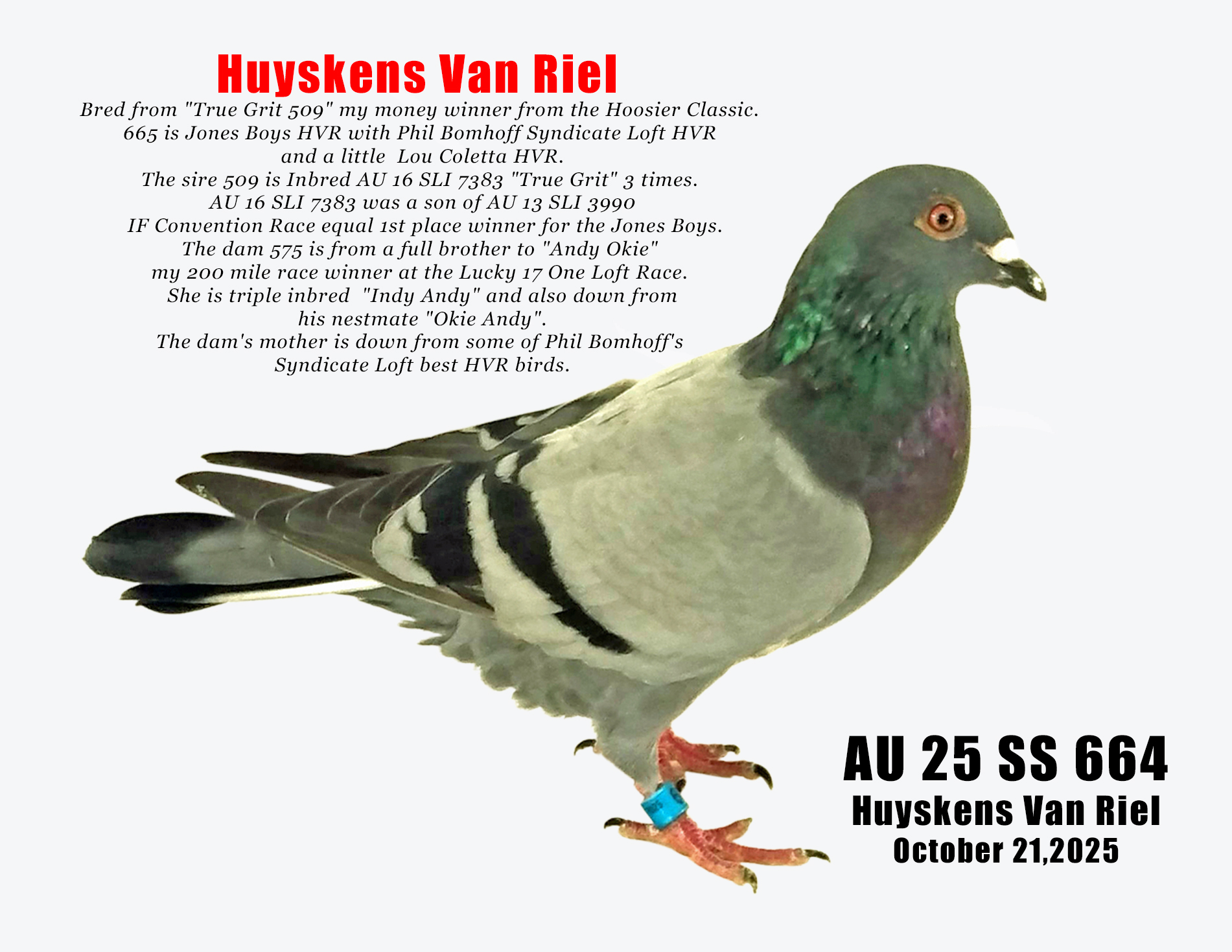 AU 25 SS 664 Huyskens Van Riel