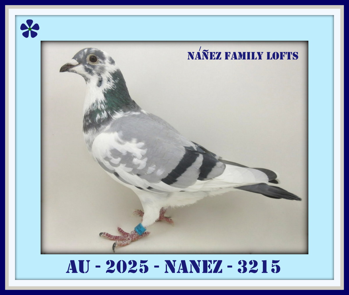 AU 2025 NANEZ 3215