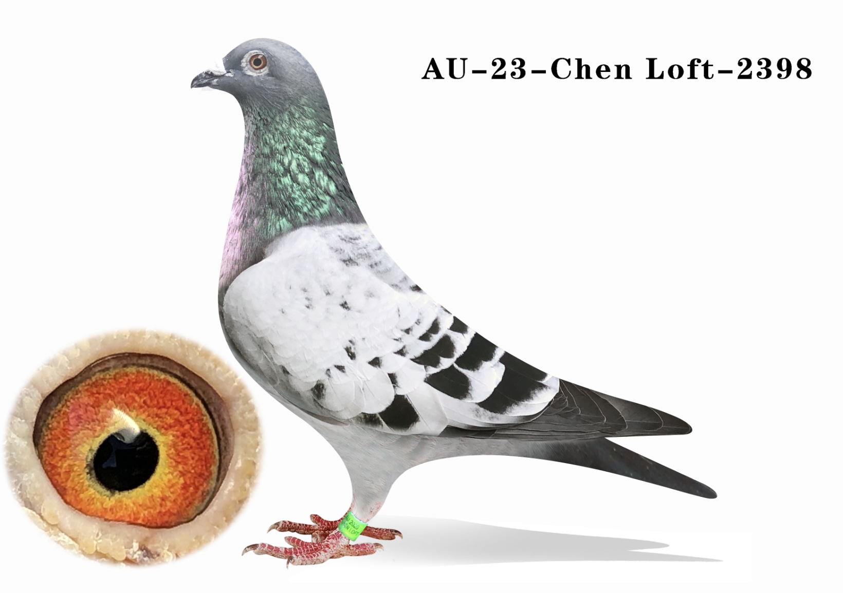 Au-23-Chen Loft-2398