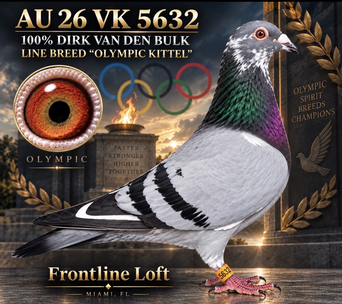 100 % DIRK VAN DEN BULK- OLYMPIC KITTEL
