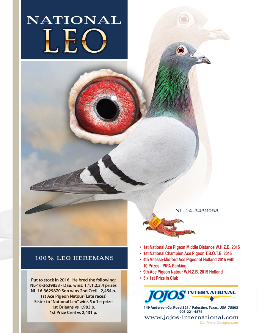 LOT # 41 AU-21-29144