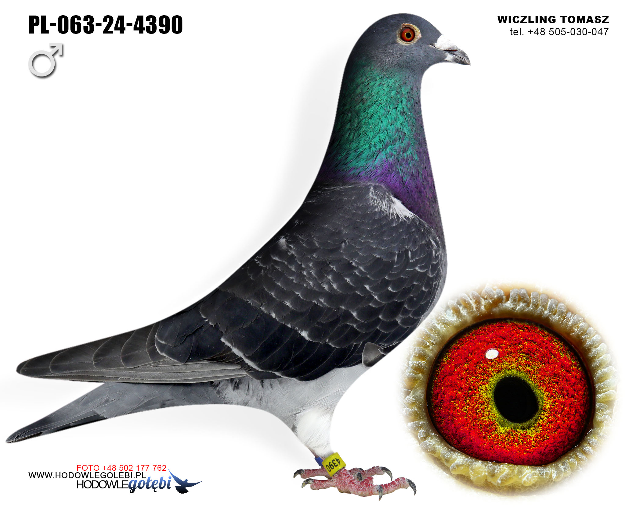 PL-063-24-4390 C