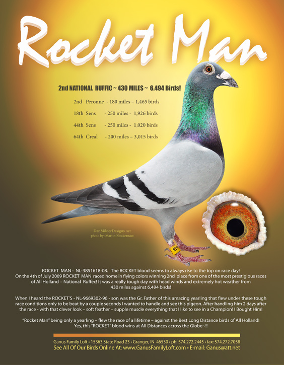 iPigeon.com - Racing Pigeon Auction