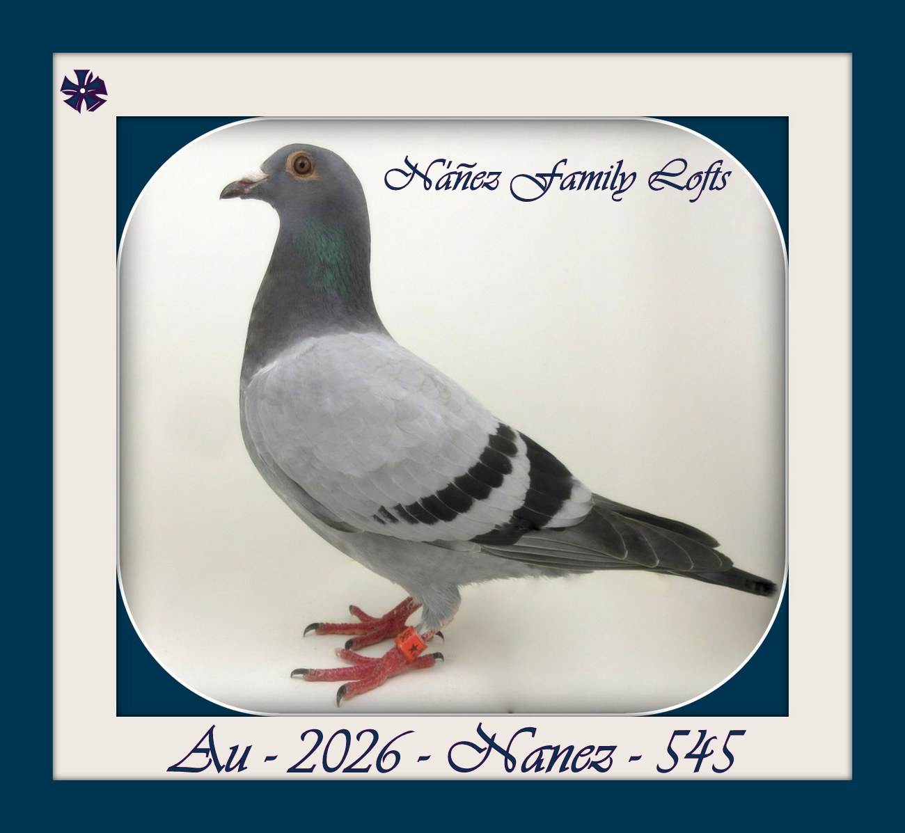 AU 2026 NANEZ 545