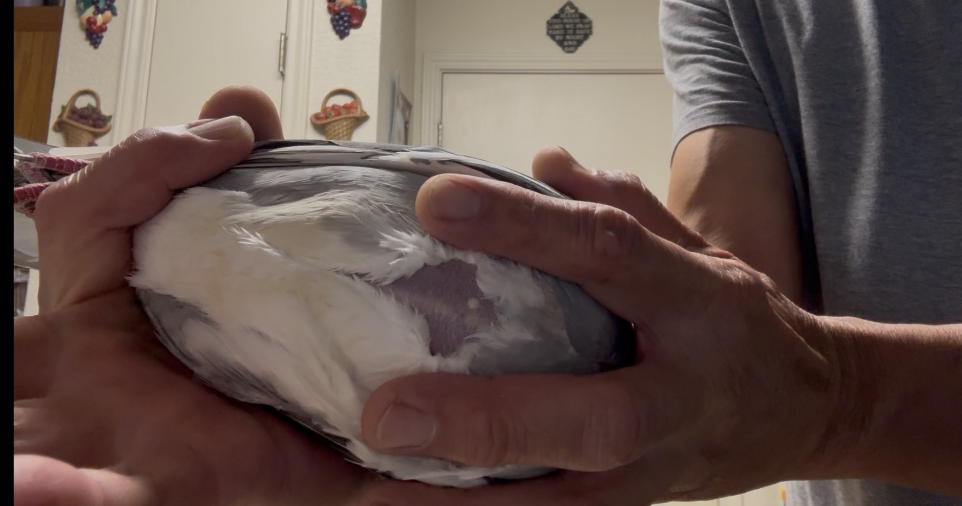 Preview Image 5