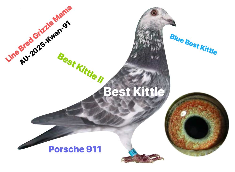  Leideman Grizzle Mama