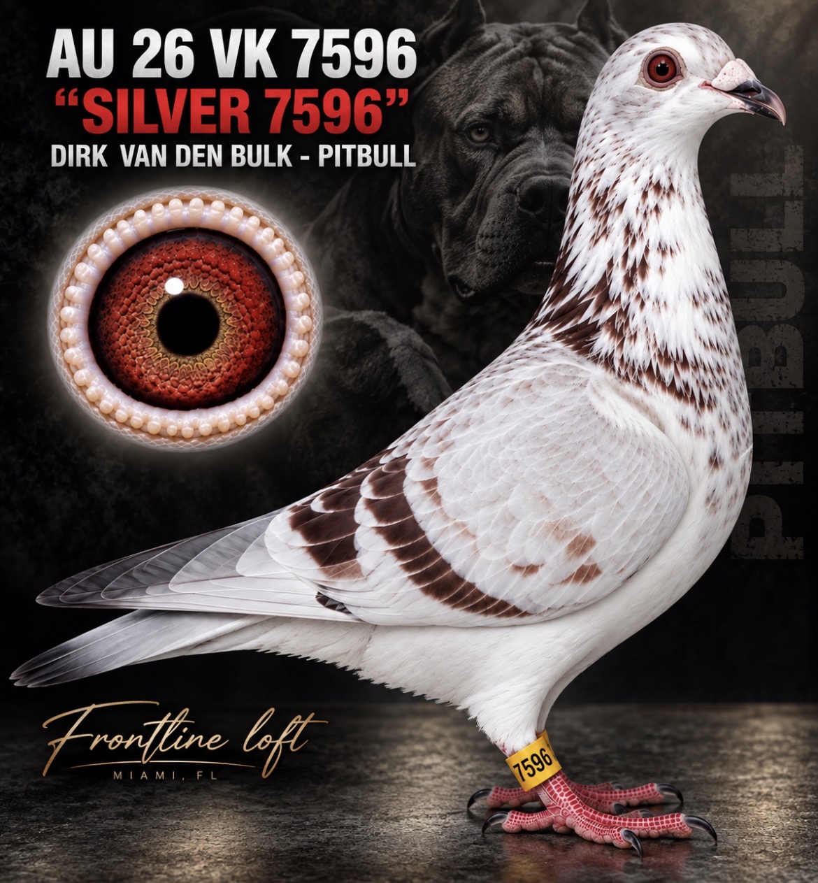 DIRK VAN DEN BULK - PITBULL 777